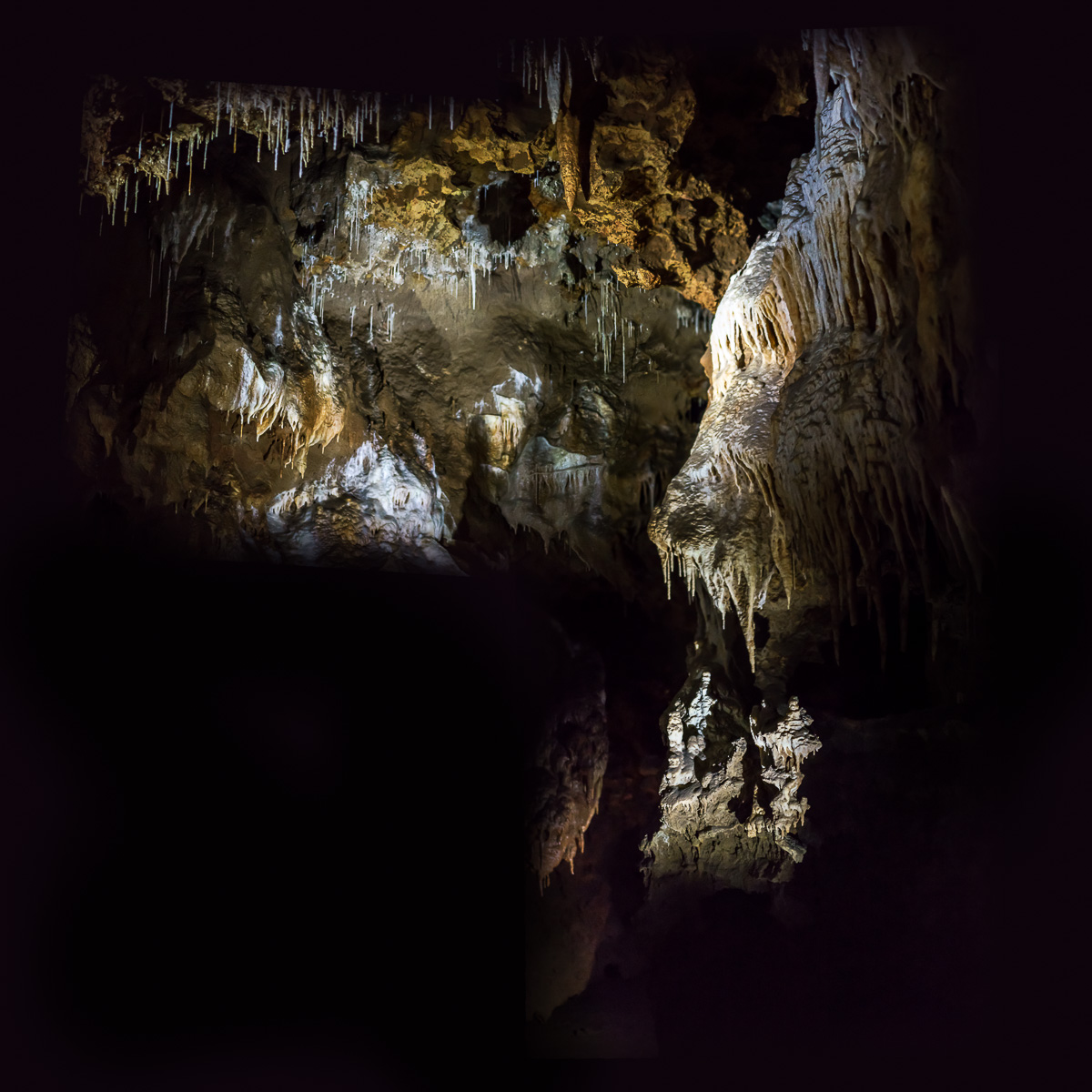 Grotte_de_Clamouse_(1_von_47)