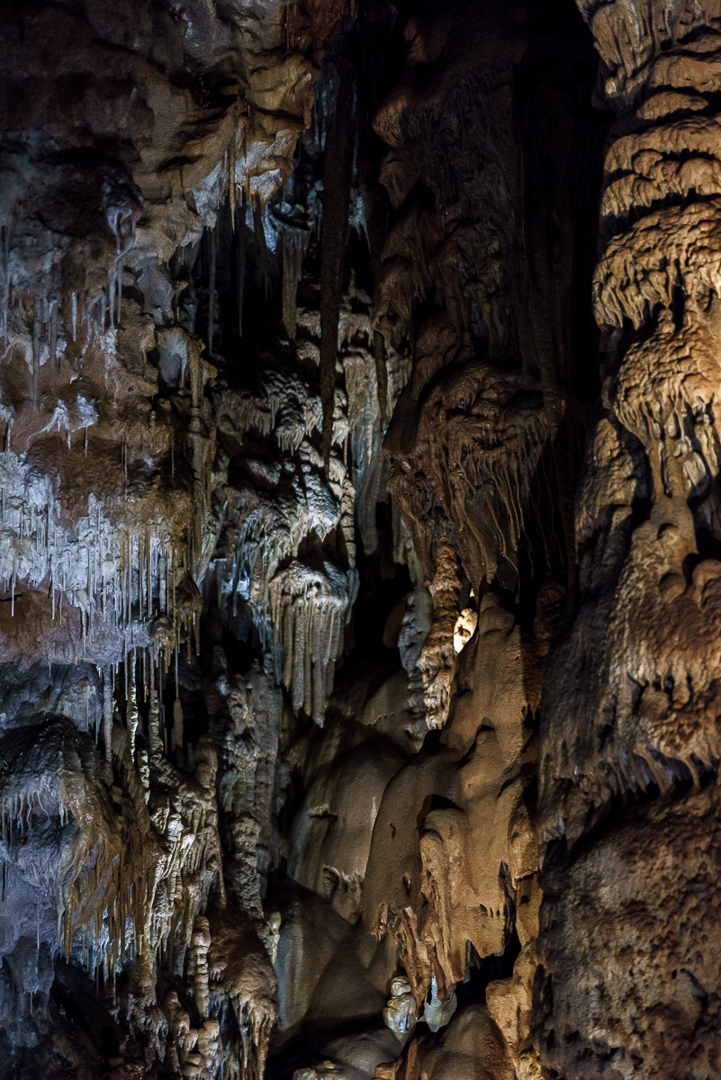 Grotte_de_Clamouse_(44_von_47)