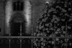 Paderborn_by_Night_21_von_31