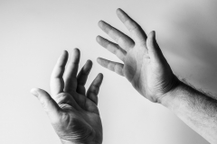 Ductus-Manus-02-von-11