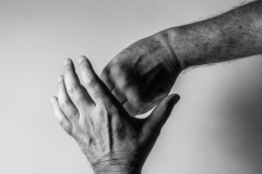 Ductus-Manus-05-von-11