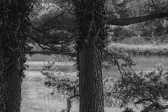 Woerlitzer_Park_10_von_30 Woerlitzer_Park_10_von_30