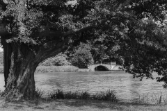 Woerlitzer_Park_15_von_30 Woerlitzer_Park_15_von_30