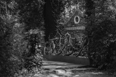 Woerlitzer_Park_23_von_30 Woerlitzer_Park_23_von_30