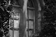 Woerlitzer_Park_24_von_30 Woerlitzer_Park_24_von_30