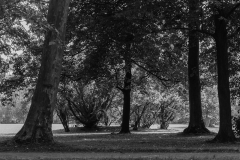 Woerlitzer_Park_26_von_30 Woerlitzer_Park_26_von_30
