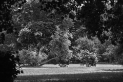 Woerlitzer_Park_27_von_30 Woerlitzer_Park_27_von_30