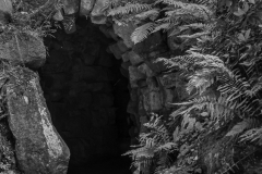 Woerlitzer_Park_28_von_30 Woerlitzer_Park_28_von_30