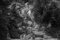 Woerlitzer_Park_29_von_30 Woerlitzer_Park_29_von_30