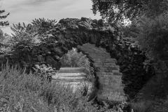 Woerlitzer_Park_30_von_30 Woerlitzer_Park_30_von_30