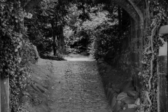 Woerlitzer_Park_5_von_30 Woerlitzer_Park_5_von_30