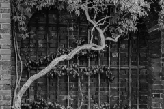 Woerlitzer_Park_7_von_30 Woerlitzer_Park_7_von_30