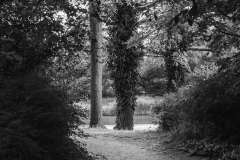 Woerlitzer_Park_9_von_30 Woerlitzer_Park_9_von_30