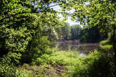 Terrain-vague-01-1024