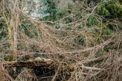 Terrain-vague-02-1024