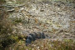 Terrain-vague-04-1024