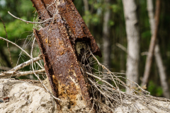 Terrain-vague-05-1024