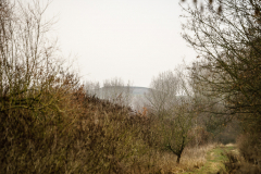 Terrain-vague-06-1024