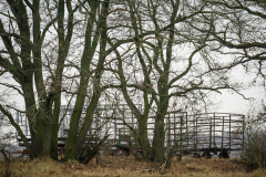 Terrain-vague-07-1024