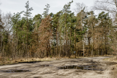 Terrain-vague-08-1024