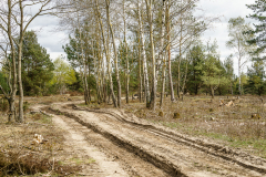 Terrain-vague-09-1024