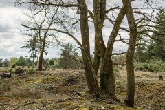 Terrain-vague-10-1024