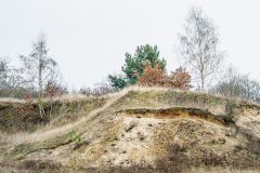 Terrain-vague-11-1024