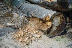 Terrain-vague-12-1024