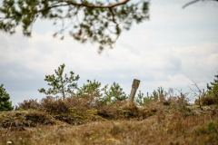 Terrain-vague-14-1024