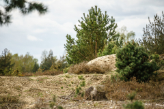 Terrain-vague-15-1024