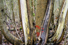 Terrain-vague-16-1024