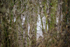 Terrain-vague-18-1024