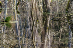 Terrain-vague-19-1024