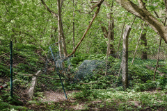 Terrain-vague-21-1024