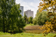 Terrain-vague-28-1024 Terrain-vague-28-1024