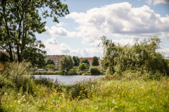 Terrain-vague-29-1024