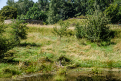 Terrain-vague-30-1024