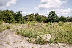 Terrain-vague-31-1024 Terrain-vague-31-1024