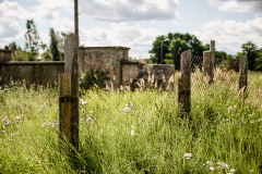 Terrain-vague-32-1024