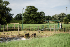 Terrain-vague-33-1024