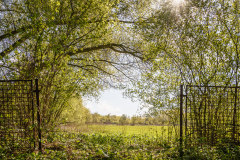 Terrain-vague-35-1024 Terrain-vague-35-1024