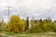 Terrain-vague-36-1024 Terrain-vague-36-1024