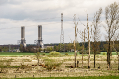 Terrain-vague-37-1024 Terrain-vague-37-1024