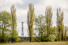 Terrain-vague-38-1024 Terrain-vague-38-1024