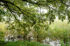 Terrain-vague-42-1024