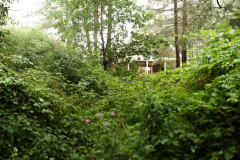 Terrain-vague-43-1024