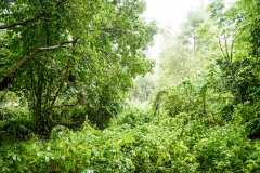 Terrain-vague-44-1024