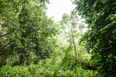 Terrain-vague-45-1024