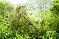 Terrain-vague-46-1024 Terrain-vague-46-1024