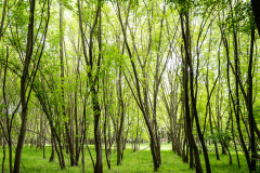 Terrain-vague-47-1024